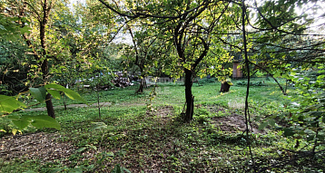 Московская обл., г.о. Истра, Дедовск, СНТ Садовод-1