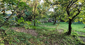 Московская обл., г.о. Истра, Дедовск, СНТ Садовод-1