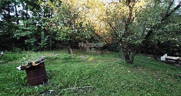 Московская обл., г.о. Истра, Дедовск, СНТ Садовод-1